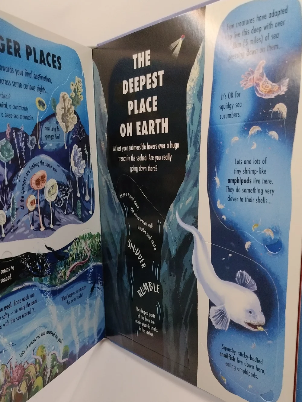 Extreme Planet: The Deep A Lift A Flap Book About Ocean Creatures NEW